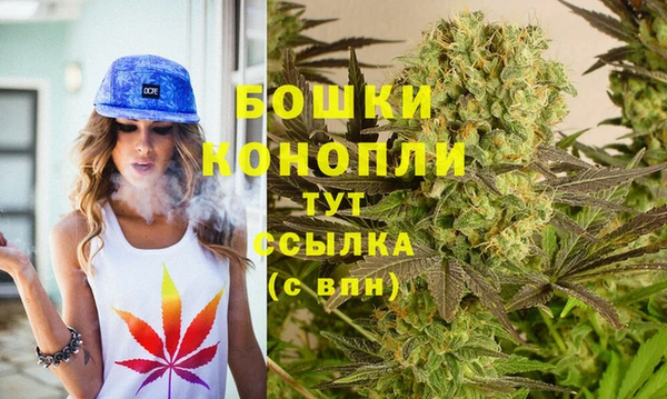 прущие грибы Вязьма