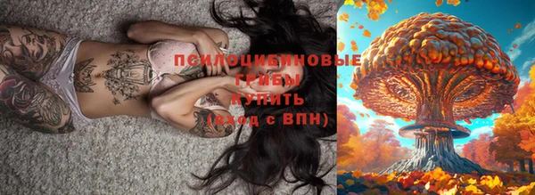 мдпв Лихославль