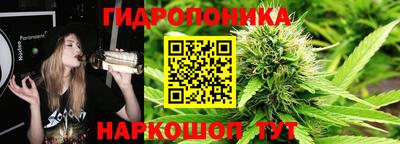 ECSTASY Бийск