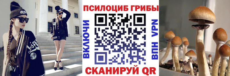 Псилоцибиновые грибы Psilocybine cubensis Ливны