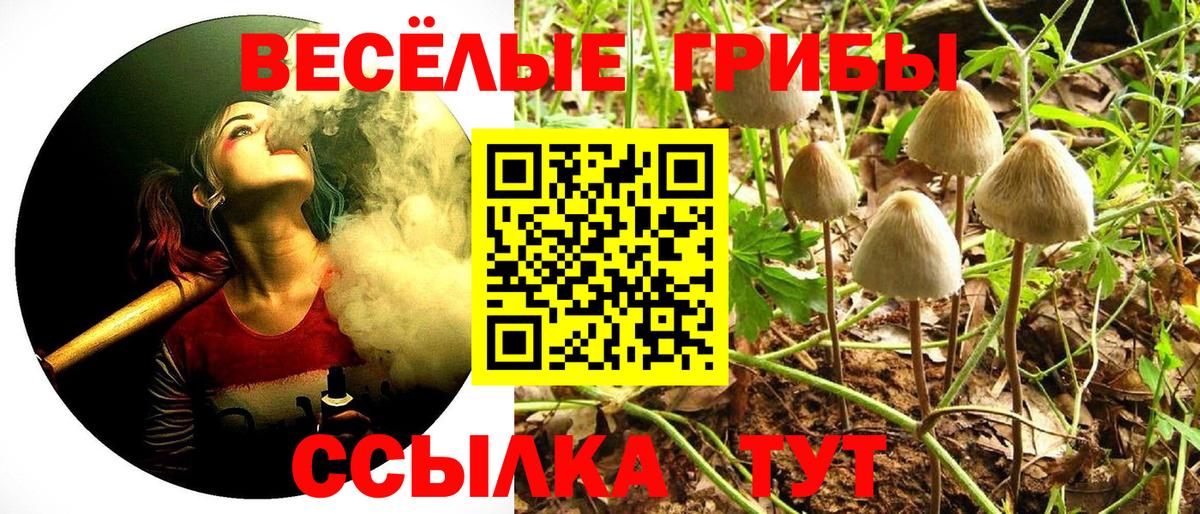 Галлюциногенные грибы GOLDEN TEACHER Ливны