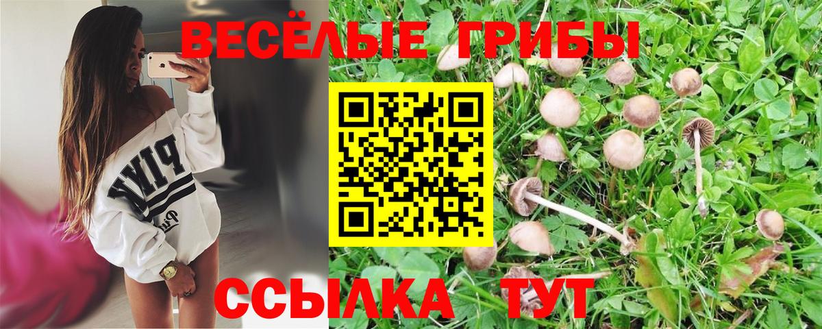 Псилоцибиновые грибы Psilocybine cubensis  Ливны 
