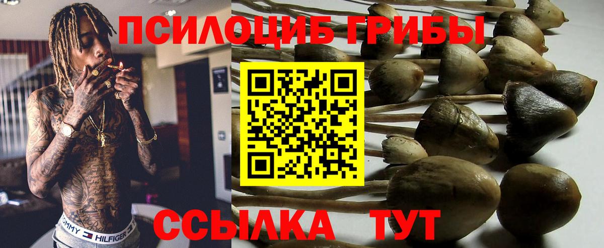 Ляпка  Мяу-Мяу  Вход с VPN  MDMA  КОКАИН  Меф  Каннабис  Масло ТГК  Ливны  Конопля 